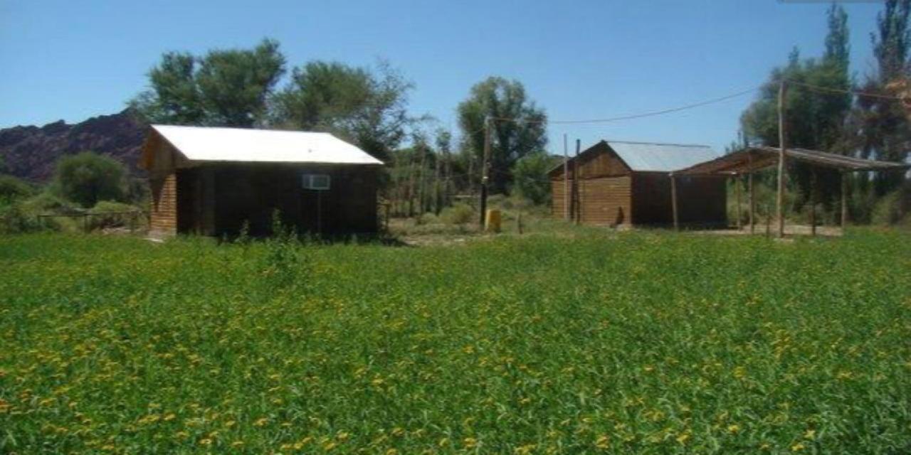 Hosteria Huaco Ξενοδοχείο Εξωτερικό φωτογραφία